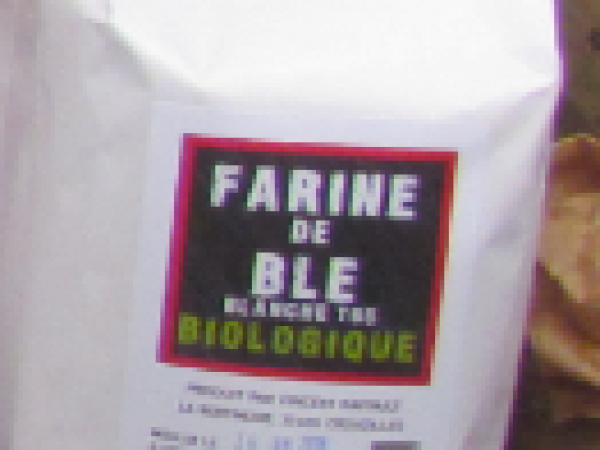 Farine blanche bio 